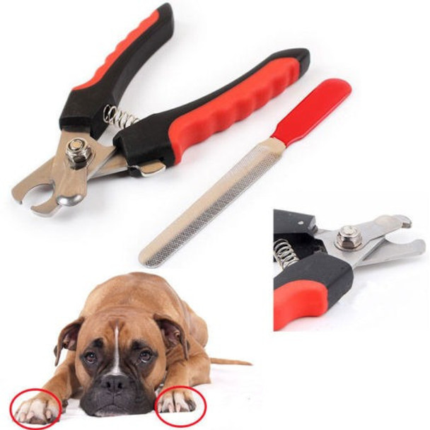 Gato Del Animal Doméstico Perro Acero Inoxidable Profesional 0