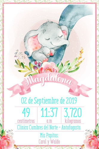 Pizarra Poster Editable De Regalo De Nacimiento 15 0