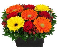 Gerberas Primavera. Entrega Sin Cargo Caba Flowerpoint 0