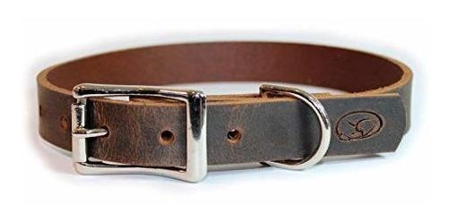 Collar De Perro De Piel Gruesa De Grano Completo Sueño Cach 0