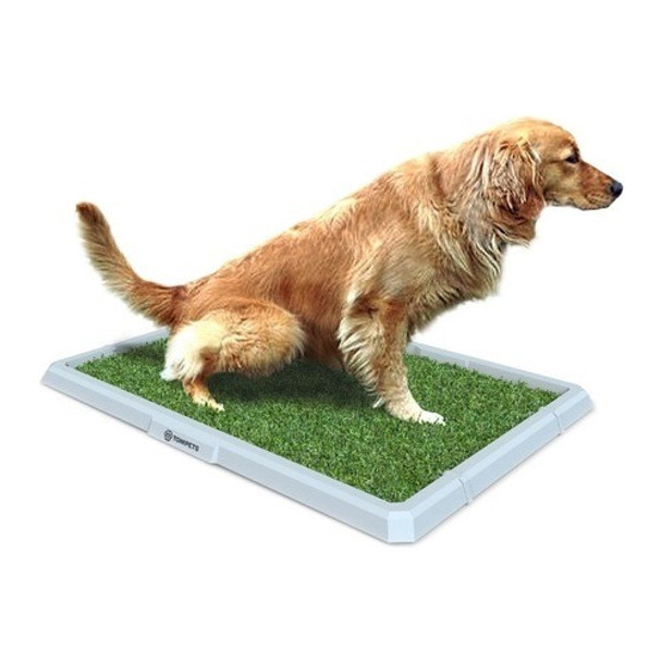 Bandeja Sanitaria Educar Perros Grande Para Hembra Tonipets 0