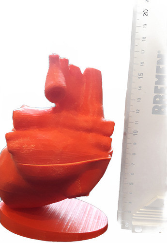 Corazon Anatomico Estudio Medicina 0