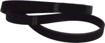 Correa 6pk X 1515 0