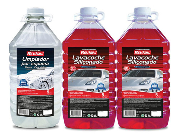 Espuma Activa Y 2 Lavacoches Revigal X 5 L 0