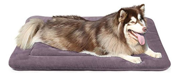 Colchoneta De Cama Para Perro Joicyco Alfombra De 35  / 42 0 Colchoneta De Cama Para Perro Joicyco Alfombra De 35  / 42 0