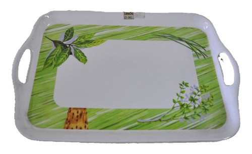 Bandeja De Plástico Rectangular Con Manija 0