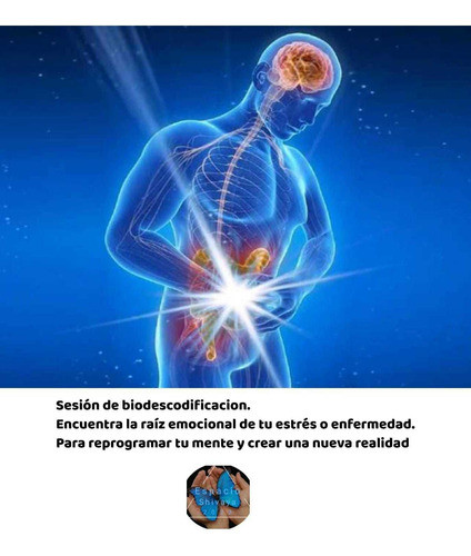 Biodescodificacion Sesión 0