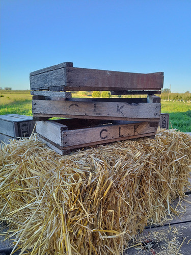 Planchas De Madera Para Frutillas 0