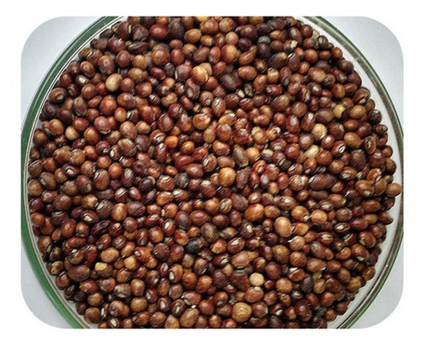 Sementes Feijão Guandu Anão - Caixa Com 3 Kg 0