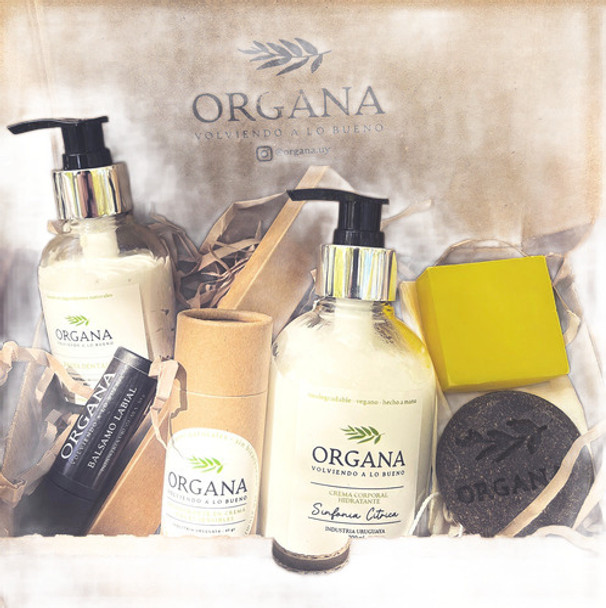 Mega Pack Organa 0