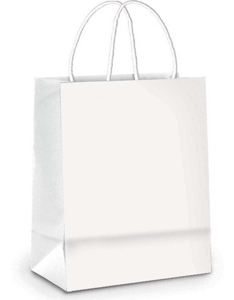 Sacola Para Presente Lisa Branca 26x19,5x9,5cm 10 Und 0 Sacola Para Presente Lisa Branca 26x19,5x9,5cm 10 Und 0
