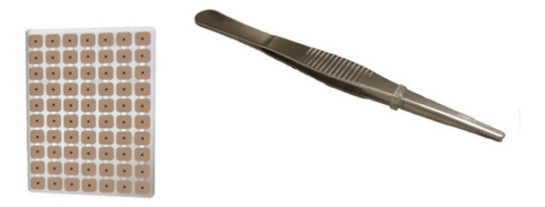 Pack De Auriculoterapia: Pinza Recta Y 70 Semillas 0 Pack De Auriculoterapia: Pinza Recta Y 70 Semillas 0