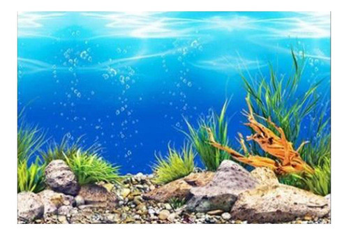 Fundo Do Aquário Do Tanque De Peixes Adesivo Papel De 0