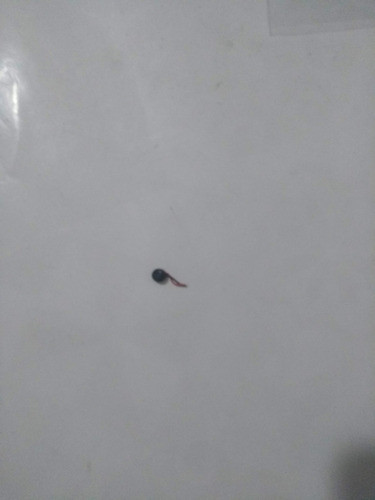 Microfone Do Celular Qbex Hs011 Original 0