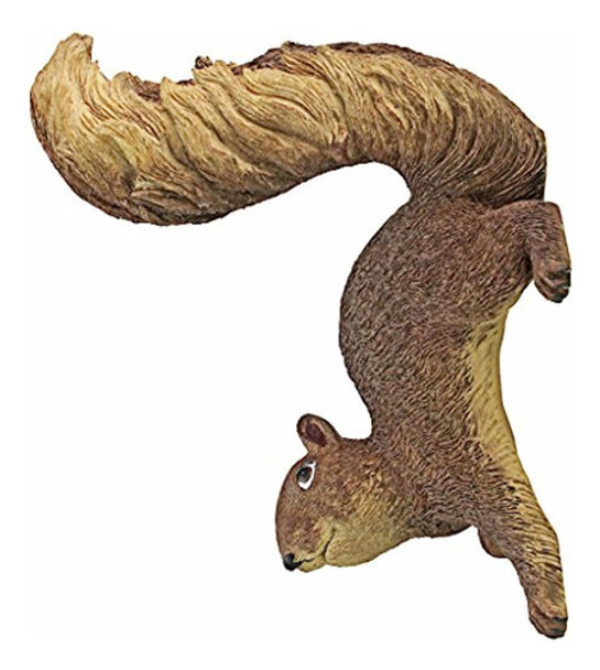 Diseño Toscano Simone The Squirrel Woodland Decor Colgante G 0