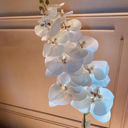 Vara De Orquídea Mariposa 90cm 0