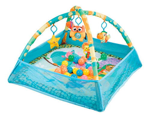 Gimnasio Pelotero Buho Con Bordes De Red Universo Binario 0