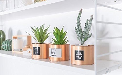 Opps Mini Plantas Artificiales Plástico Suculento Cactus Cés 0