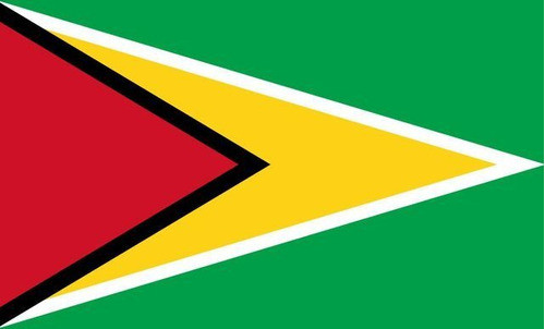 Bandera Con Logo Guyana Emblemas 90x1.50mts 0