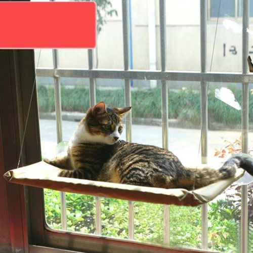 Kitty Cat Tomando Ventana Hamaca Montada Perca Cojín Cama Co 0