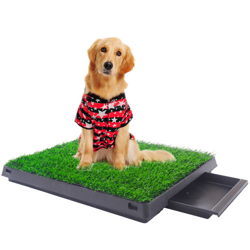Interior Cachorro Perro Mascota Potty W/tray Formación Pee A 0