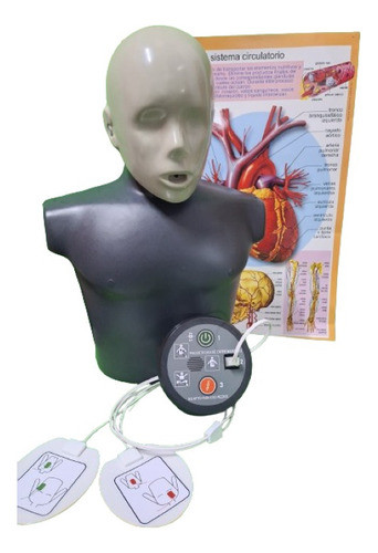 Rcp Dea Torso Rcp Más Maqueta De Dea Más Láminas Didácticas. 0
