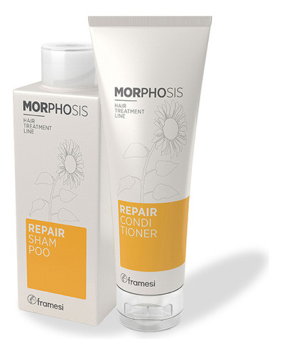 Kit Morphosis Repair Framesi Sh+ac 0