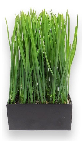 Planta Artificial En Maceta 16x8x26cm 0