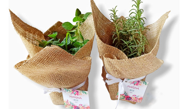 Souvenirs De Plantines De Aromáticas X 10 0