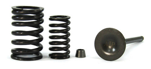 Set Válvulas Aip Cg/gs200 0