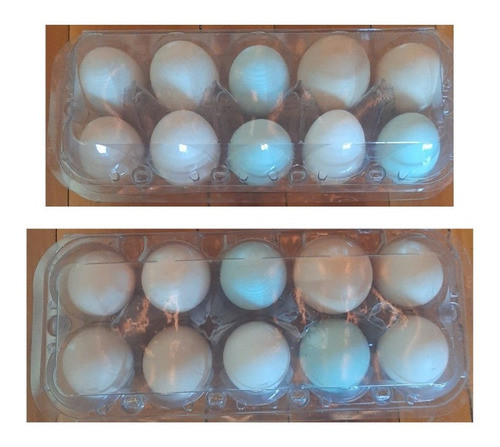 Ovos De Galinha Caipira Em Trairi-ce. 0