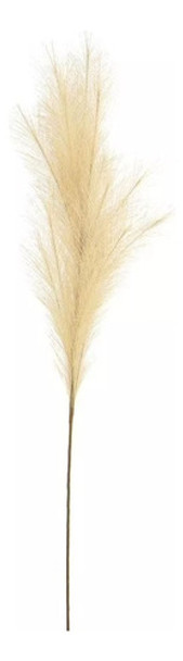 Pampa Grass Vara Decoración Set X3 0