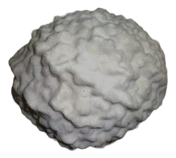 Coral Marino Coral Cerebro Caracol Concha Mar Pecera Baño 0 Coral Marino Coral Cerebro Caracol Concha Mar Pecera Baño 0