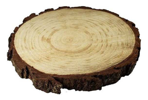 Rodaja De Arbol 15cm  , Rebanada Tronco 15cm 0