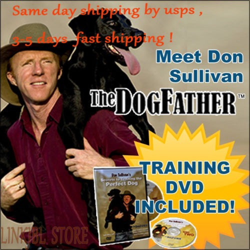 Comando De Entrenamiento De Perro Perfecto De Don Sullivan C 0