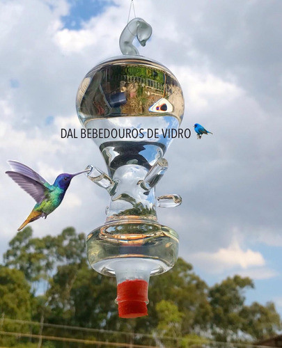 1 Bebedouro Americano Golfier P/ Beija Flor Pássaros 300 Ml 0