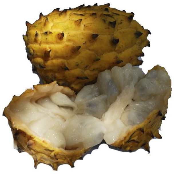 Sementes De Biribá / Fruta Do Conde Para Vasos E Mudas 0