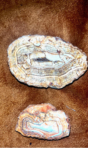 Ágata Fosilizada 2 Piedras De Ágata En Forma Fósil 0