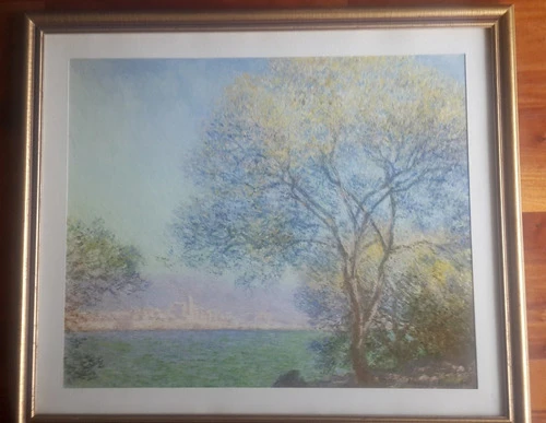 Vendo Lamina Enmarcada De Claude Monet 0