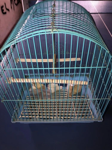 Jaula Para Pájaro 0