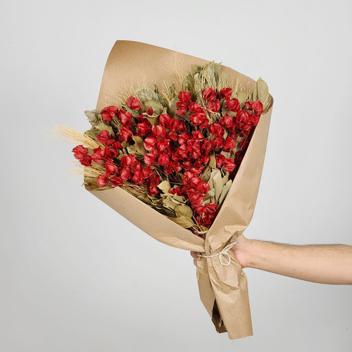 Arranjo Desidratado Bougainvillea Vermelha - Sem Vaso 0