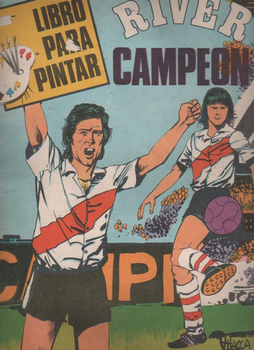 Libro Para Pintar ** River Campeon ** Años 70 0