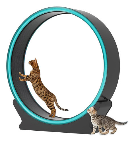 Cinta Caminadora Gatos Ejercicio Silencioso Control App Wifi 0