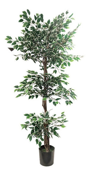 Planta Artificial Maceta 170cm Ficus Hawai Premium - Sheshu 0
