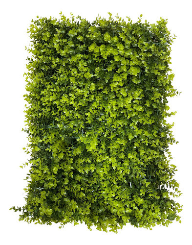 Placa De Grama De Eucalipto 40x60 Jardim Vertical Artificial 0