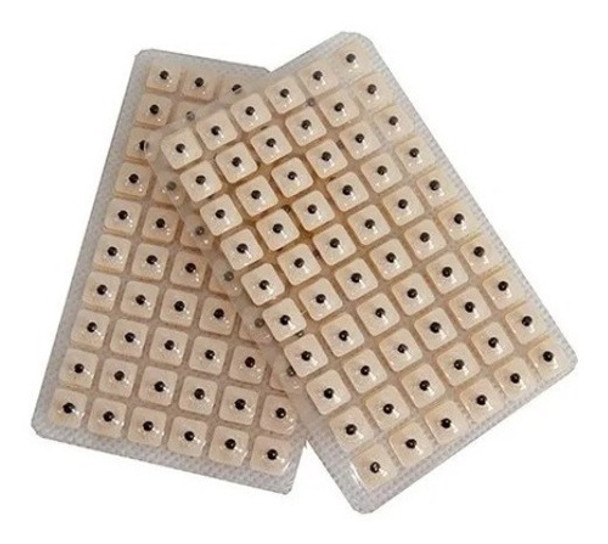 Semillas De Vaccaria X 120 Auriculoterapia !! 0 Semillas De Vaccaria X 120 Auriculoterapia !! 0