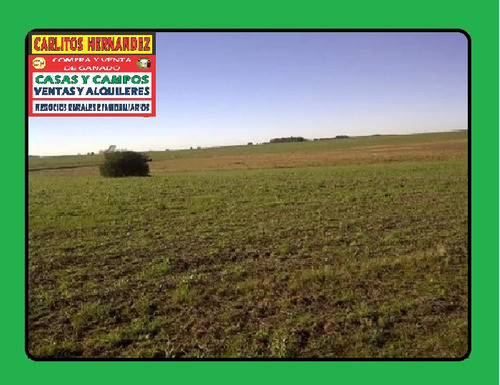 Cliente Busca Comprar Campo Ganadero Inversion U$ 500 Mil 0