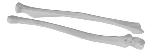 Humero Radio Cubito Maqueta Estudio Jmc3d 0