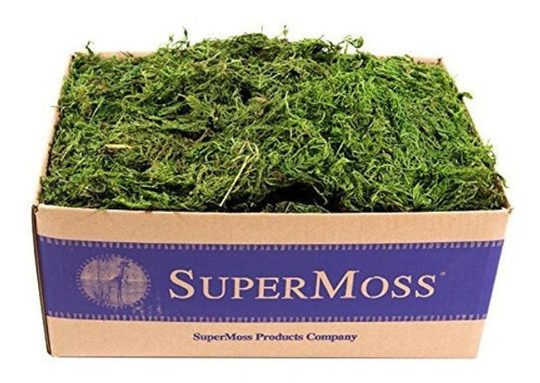 Supermoss 25325 Musgo Del Bosque Preservado Verde Fresco 3lb 0