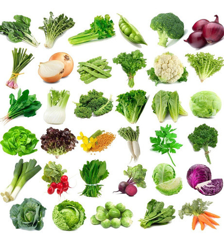 Super Combo Semillas Huerta Otoño - Invierno - 35 Variedades 0